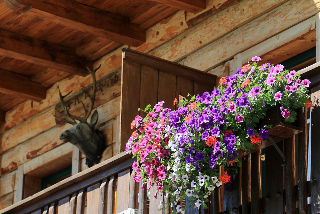 Gloesalm Apartment Ramsau am Dachstein Exterior photo